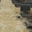 Фото: https://uprgkh.pnzreg.ru - Penza-Post.Ru
