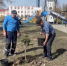 Жителей Сердобска призвали беречь высаженные в городе деревья и кустарники - Stolica58.Ru