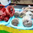 Пищевая продукция ряда пензенских бизнесменов не соответствует техрегламентам - Penza-Post.Ru
