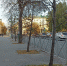 Пьяная пензячка попала в ДТП, пытаясь доехать до магазина - Progorod58.Ru