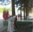 Пензенцы благоустроили территорию музея Бурденко - РИА Пензенской области
