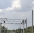 Фото: t.me/br_pnz - Penza-Post.Ru