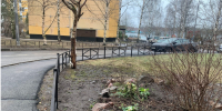 В Пензе в рамках программы «Мой двор» будут обновлены 180 объектов - Progorod58.Ru