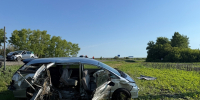 В ДТП в Пензенской области два человека погибли, еще десять пострадали - ИА PenzaNews