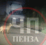 Лиса прогуливалась по улицам Заречного и попала на видео - Stolica58.Ru