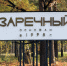 «Импульс-Атом» разработает систему автоматического замера параметров токоприемников моторвагонного подвижного состава. Фото из архива ИА «PenzaNews» - ИА PenzaNews