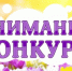 Всероссийский конкурс «Это у нас семейное» - Пензенский район