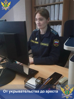 От укрывательства до ареста