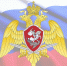 Фото: https://58.rosguard.gov.ru/ - Penza-Post.Ru
