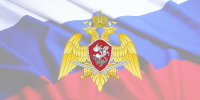 Фото: https://58.rosguard.gov.ru/ - Penza-Post.Ru