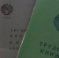 С 8 июня пенсионеров ждёт прибавка за март и апрель из-за 2 строчек в трудовой - Progorod58.Ru