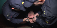 В Пензе житель Екатеринбурга пошел на преступление, чтобы вернуться домой - 1Pnz.Ru