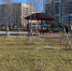 В Пензе в честь проекта «Онкопатруль» была заложена хвойная аллея - Progorod58.Ru