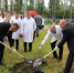 В Пензе в знак борьбы с онкологией заложили аллею - ПензаСМИ
