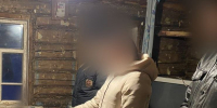 Жительнице Лунинского района грозит срок за убийство отца - РИА Пензенской области