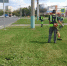 Фото: https://www.penza-gorod.ru/ - Penza-Post.Ru