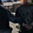 Поймали с «мышкой» в руках: появилось видео задержания преступников в Пензе - Stolica58.Ru