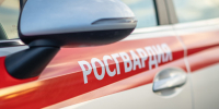 Фото: https://58.rosguard.gov.ru/ - Penza-Post.Ru