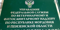 Видео задержания одного из руководителей Россельхознадзора в Пензе оперативниками УФСБ попало в сеть - Penza-Post.Ru