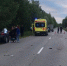 Под Пензой насмерть сбили ребенка - 1Pnz.Ru