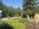 Сотрудники Министерства приняли участие в субботнике