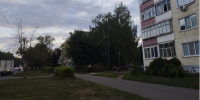 Жители улицы Пермской не могут добраться до центра города из-за упавшего дерева - Progorod58.Ru