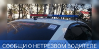 Госавтоинспекция Пензенской области запустила телеграмм-бот «Сообщи о нетрезвом водителе!» - УГИБДД