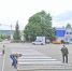 Нанесли «зебру» - Газета Вадинские вести