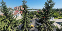 В Пензенской области беспилотник пытался атаковать промышленное предприятие - Пензенская Правда