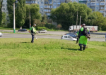 Как благоустраиваются улицы города 29 июля