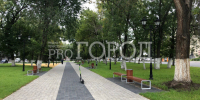 Опасные вредители добрались до Пушкинского сквера: деревья попали под бензопилу - Progorod58.Ru