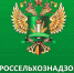 В Пензенской области выявлены нарушения при организации питания детей - ПензаСМИ