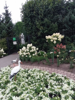 IMG-20250817-WA0026