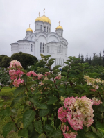 IMG-20250824-WA0008