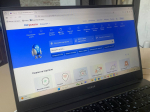 Обнародованы результаты цифровой жеребьевки на добычу лося и косули в Пензенской области