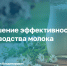 Первый заместитель Министра регионального Минсельхоза принял участие совещании по вопросам молочного животноводства - Минсельхоз