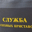 В Лунино должник выплатил 550 тысяч ради полета за границу - Пензенская Правда