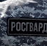Фото: https://58.rosguard.gov.ru/ - Penza-Post.Ru