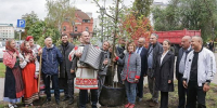 В Пензе на улице Московской высадили более 200 саженцев деревьев и кустарников - Пензенская Правда