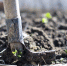 Фото: Pixabay.com - Penza-Post.Ru
