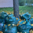 В с. Свищевка Белинского района завершилась ликвидация крупной свалки - Progorod58.Ru
