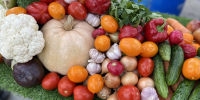 В Пензе пройдет осенняя ярмарка продукции местных товаропроизводителей - Министерство ГосИмущества