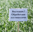 В Пензенской области агрофирма оштрафована за применение запрещенного пестицида - Stolica58.Ru