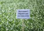 В Пензенской области агрофирма оштрафована за применение запрещенного пестицида