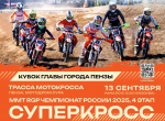 Фото: https://pnzreg.ru