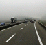Фото: Pixabay.com - Penza-Post.Ru