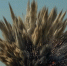 фото - 1Pnz.Ru