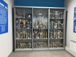 Олег Мельниченко посетил ледовый комплекс «Черемушки» в Нижнем Ломове