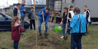 В Пензе прошла акция по озеленению городских территорий - Город Пенза