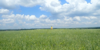 Фото: https://kopik.pnzreg.ru/ - Penza-Post.Ru